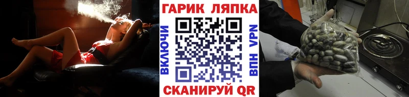 ГАШ хэш  закладки  MEGA зеркало  Спас-Клепики 