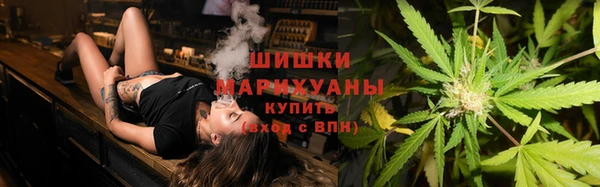 ГАЛЛЮЦИНОГЕННЫЕ ГРИБЫ Гатчина