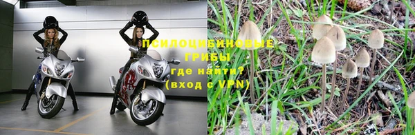 ешки Пестово