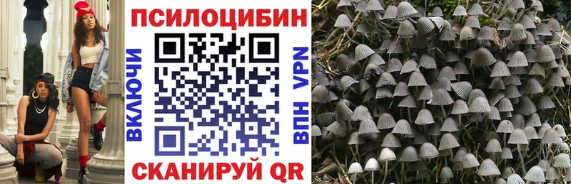 Галлюциногенные грибы мицелий  Спас-Клепики 