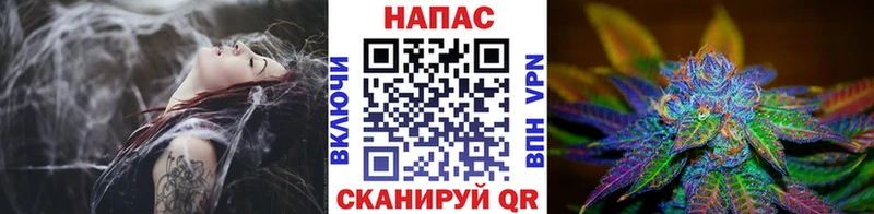 блэк спрут Спас-Клепики Конопля MAZAR